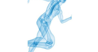 Predavanje: Osteoporoza in vpliv telesne vadbe na zdravje kosti